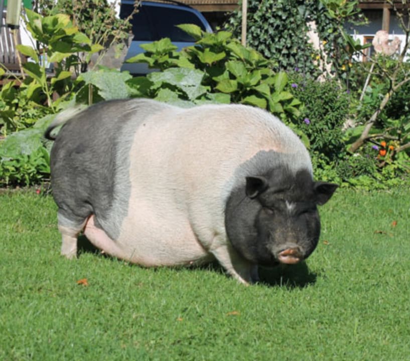 Sonstiges Bernwieserhof