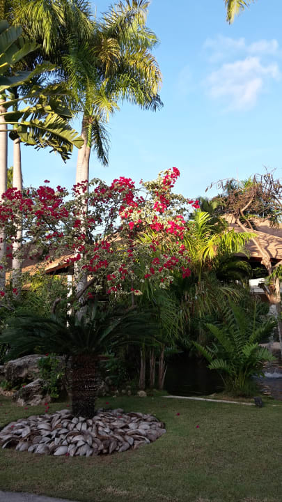 Gartenanlage Hotel Grand Palladium Palace Resort, Spa & Casino