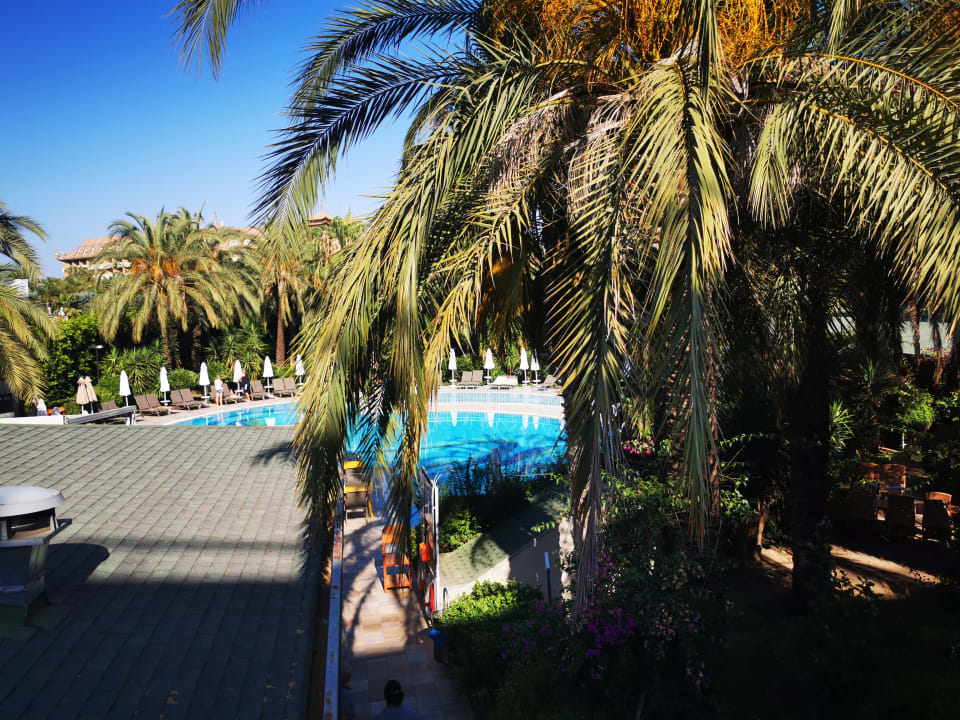 Pool Calimera Hane Garden