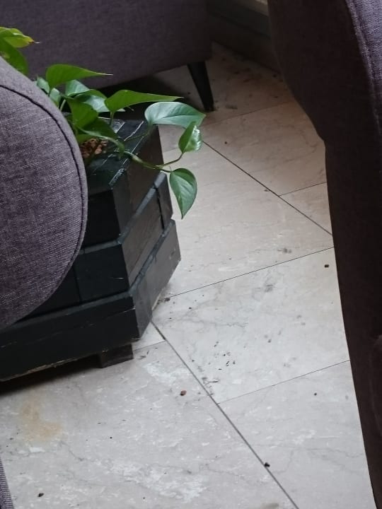Sonstiges Familotel Aparthotel am Rennsteig