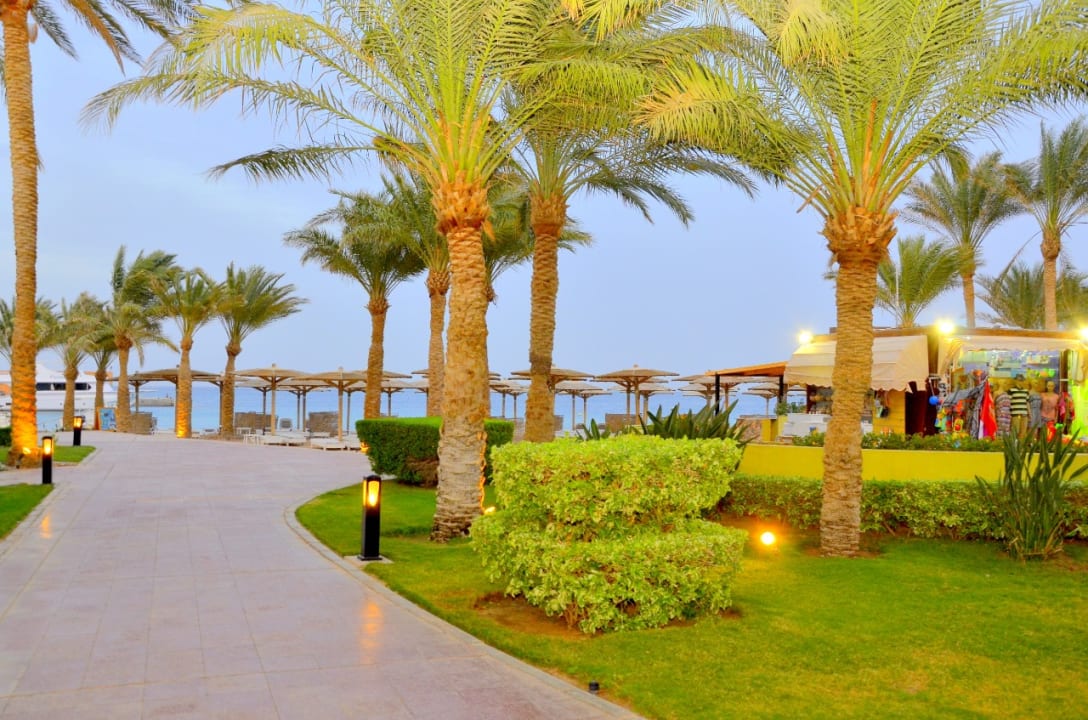 Gartenanlage Palm Beach Resort