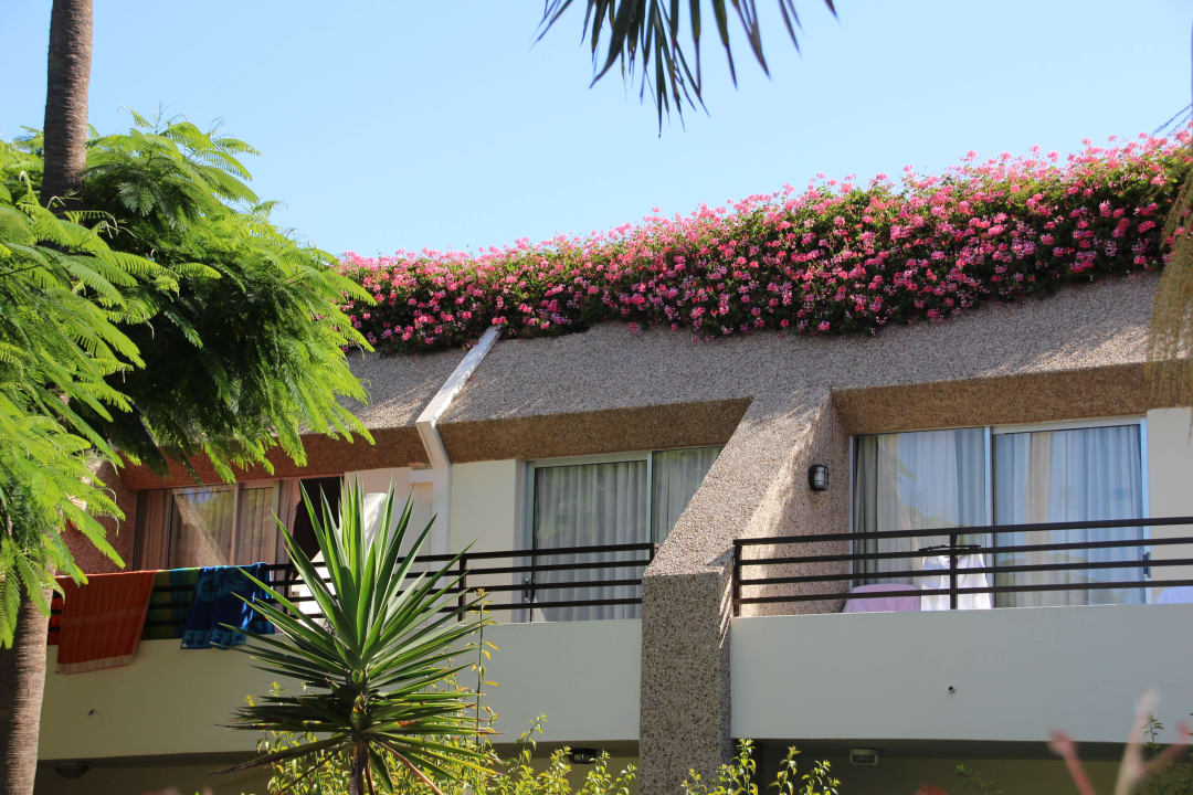 Hôtel H10 Las Palmeras - La Bungalo 2015 H10 Las Palmeras