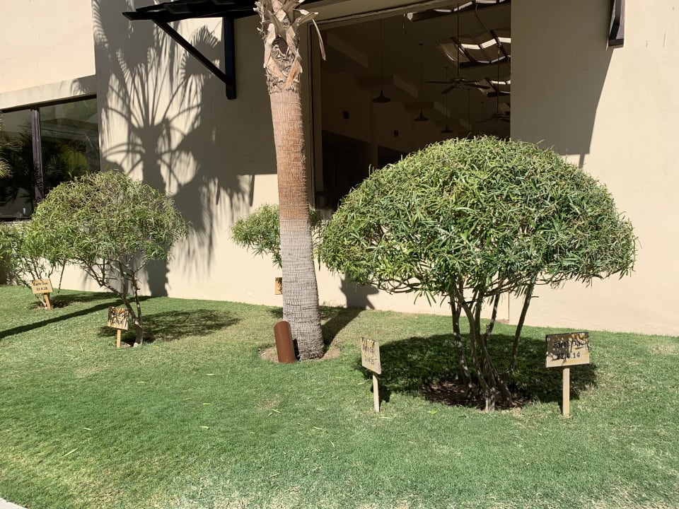 Gartenanlage Steigenberger Aqua Magic