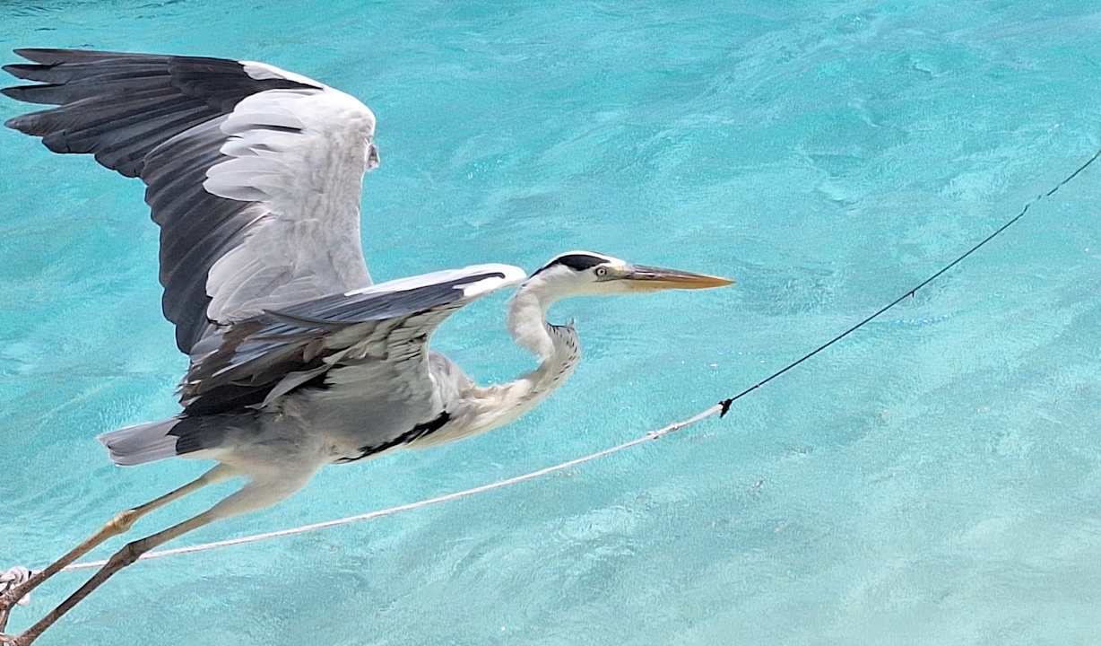 Strand Dreamland The Unique Sea & Lake Resort / Spa