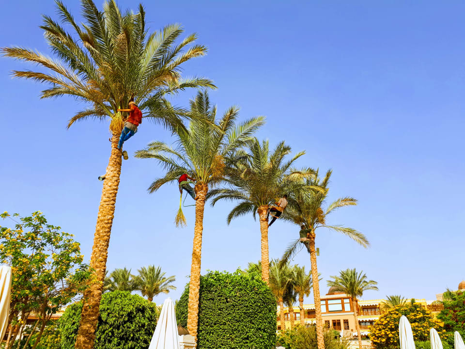 Ausblick Makadi Spa - Adults only