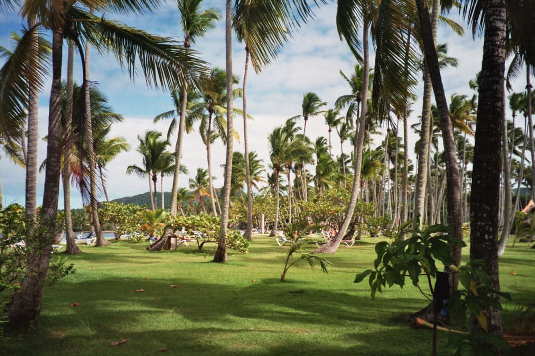 Liegewiese Wyndham Alltra Samana