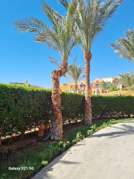 Gartenanlage Jaz Makadi Saraya Resort