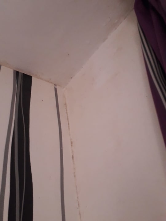 Zimmer Apartments Galeon Playa