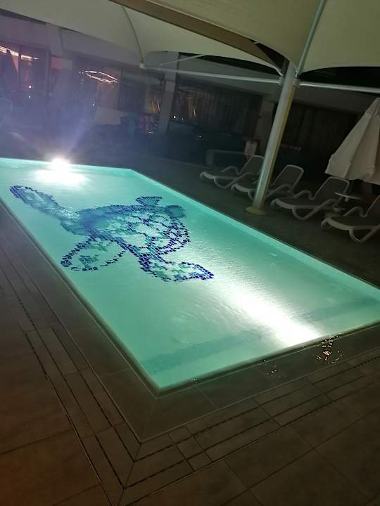 Pool Side Star Elegance