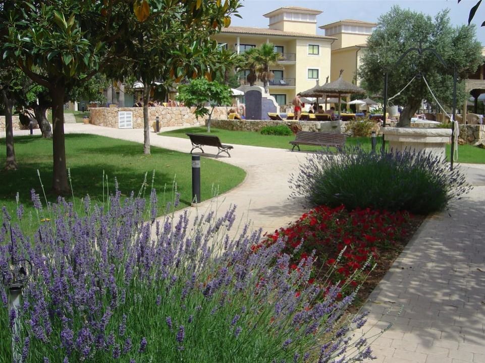 Mallorca Palace Sa Coma CM Mallorca Palace - Adults Only