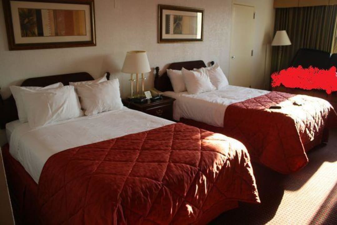 Doppelzimmer Clarion Hotel Fort Myers