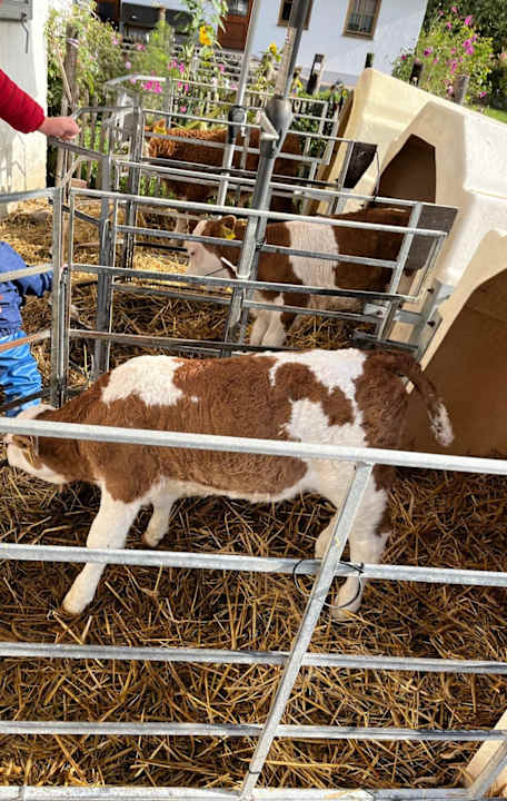 Außenansicht Ferienwohnungen Doblerhof