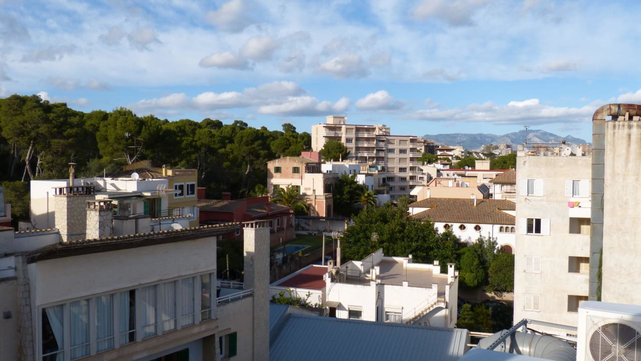 Blick über Palma Zurbaran