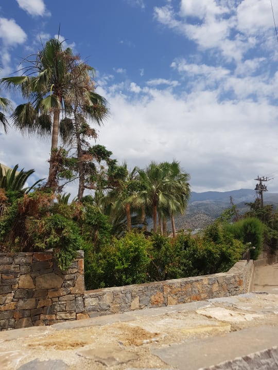 Ausblick High Beach Resort