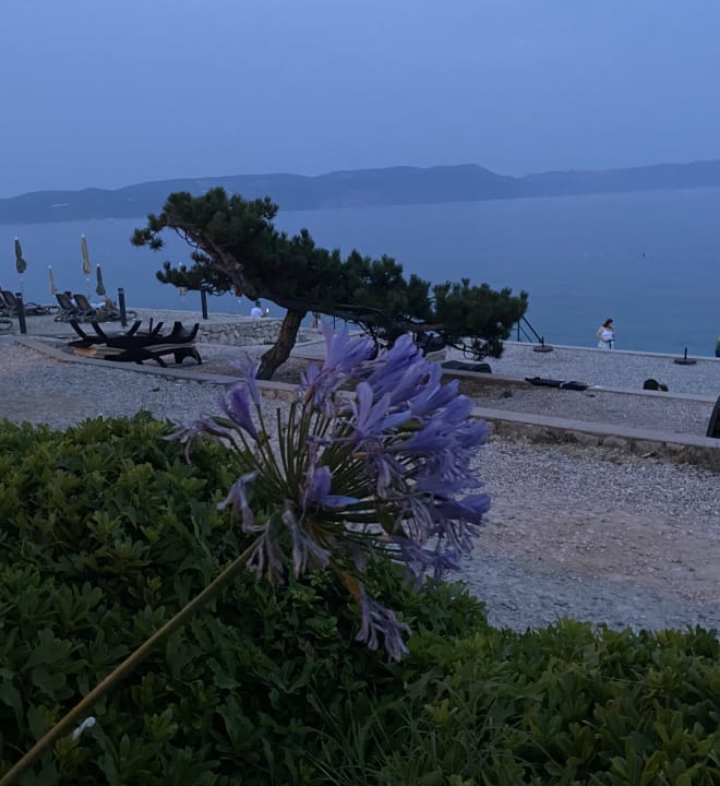 Strand Valamar Sanfior Hotel & Casa