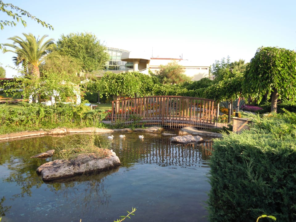 Wunderschön angelegter Teich Club Tuana Fethiye