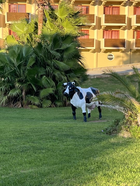 Gartenanlage Hotel Kalithea Horizon Royal