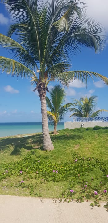 Ausblick Playa Vista Azul