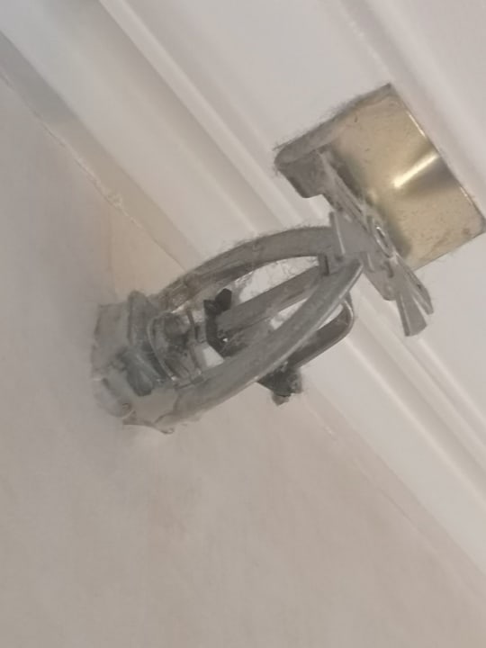 Zimmer Bergström Hotel Lüneburg