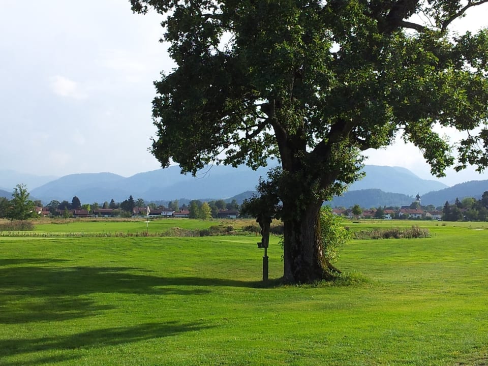 Sonstiges Ferienwohnungen Lärchennest zwischen Chiemsee u.Bergen