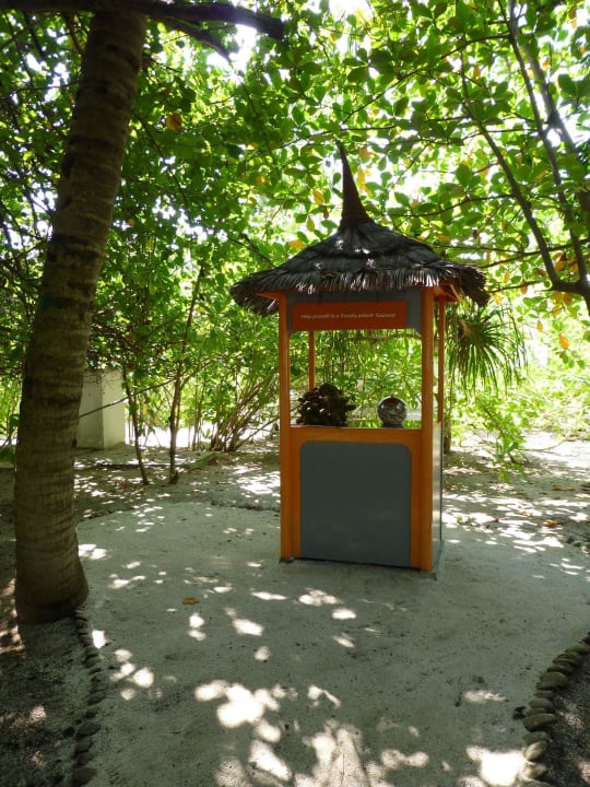 Kokusnuss Station LUX South Ari Atoll