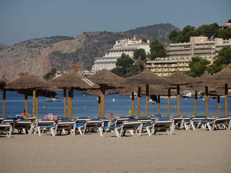 Blick vom öffentl. Strand zum Hotel Sentido Fido Punta del Mar – Adults only