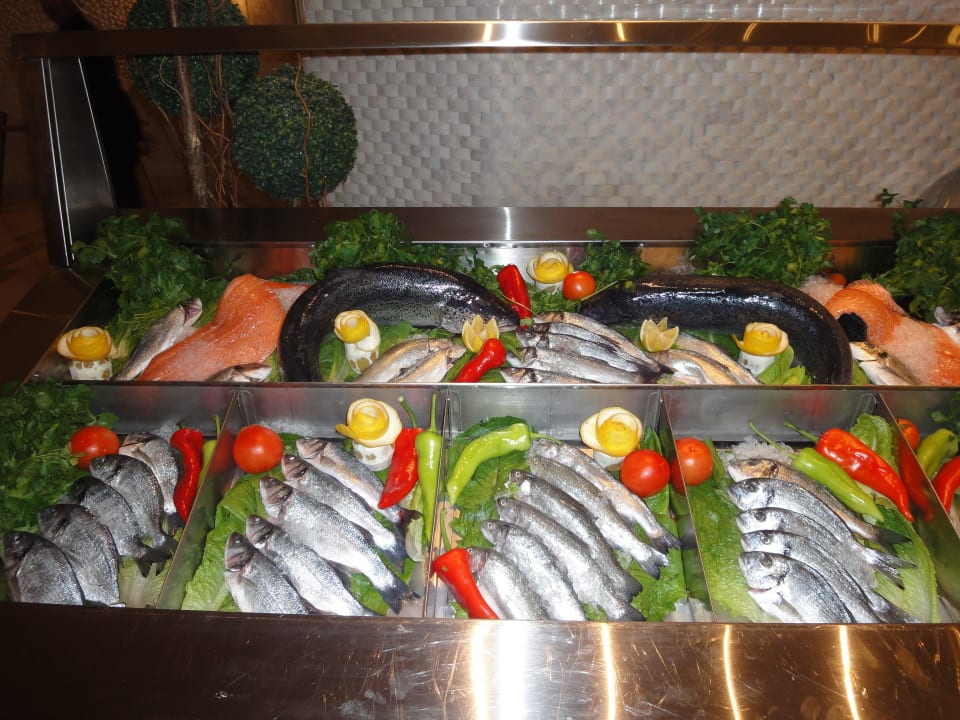 Maxx Royal Belek Golf & Spa Resort Maxx Royal Belek Golf Resort