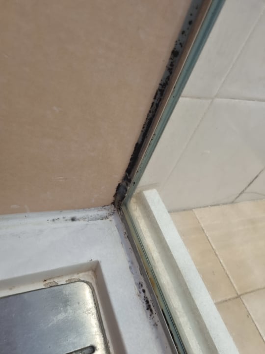 Zimmer Globales Bouganvilla