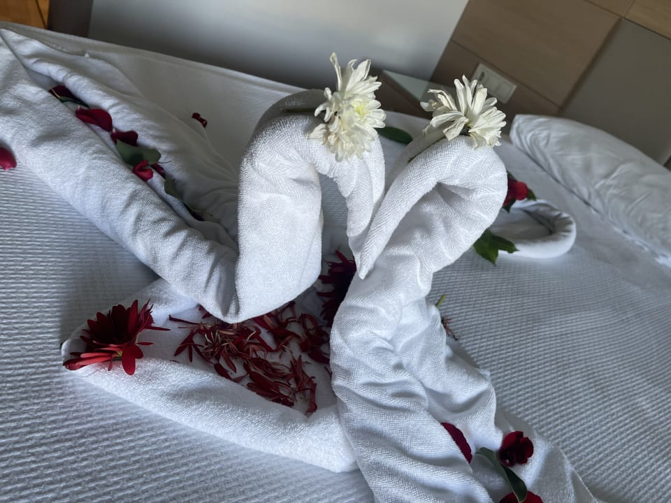 Zimmer Belek Beach Resort Hotel