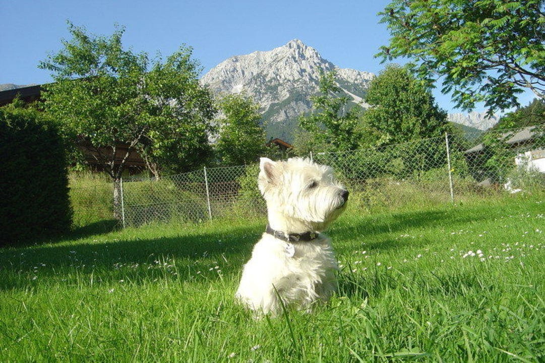 Spielwiese neben dem Biergarten mit tollem Blick Garni Hotel - Das Alpin Kaiserzeit
