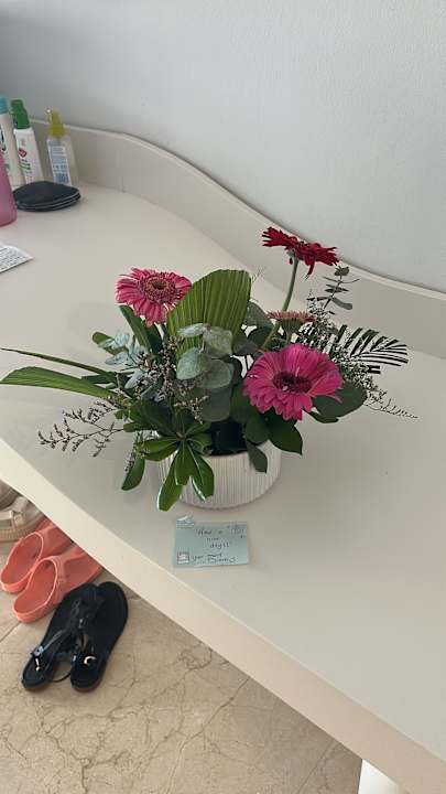 Zimmer Iberostar Selection Coral Cancun