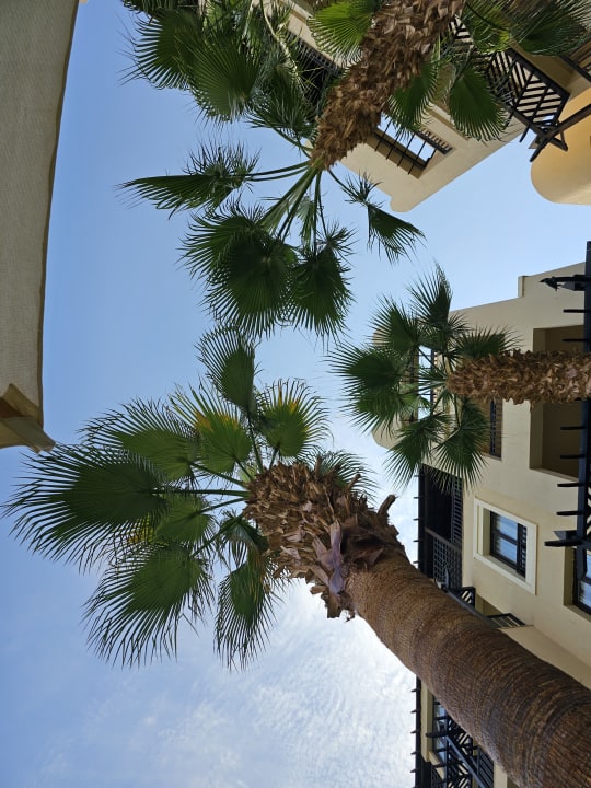 Gartenanlage Steigenberger Aqua Magic