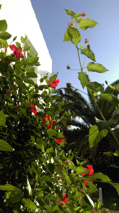Aus dem Schlafzimmer Grupotel Aldea Cala'n Bosch