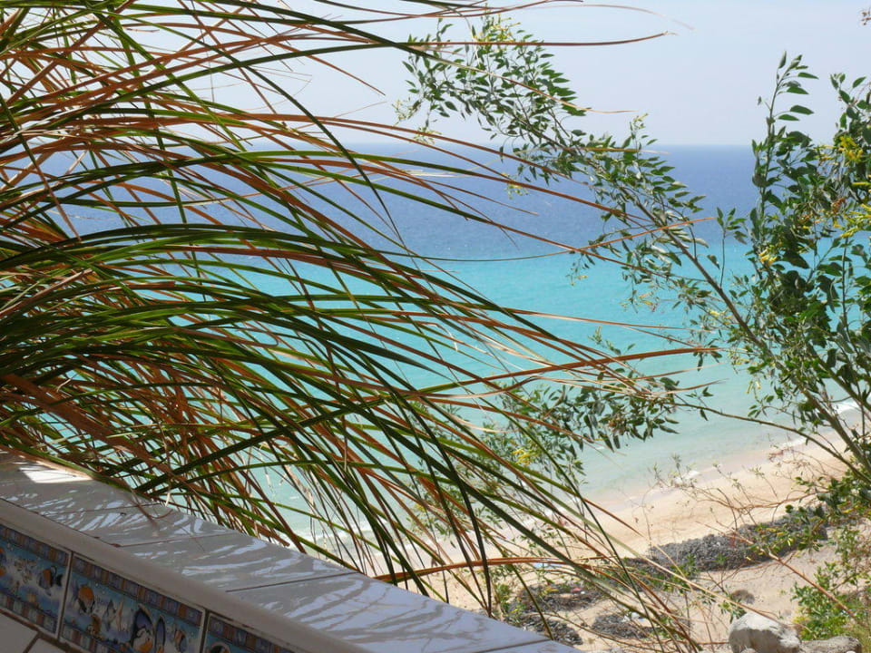 Blick vom Pool auf den Strand Marina Playa Suite Hotel