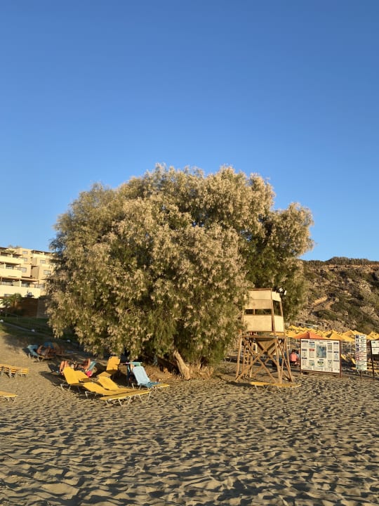 Strand Atlantica Mikri Poli Crete