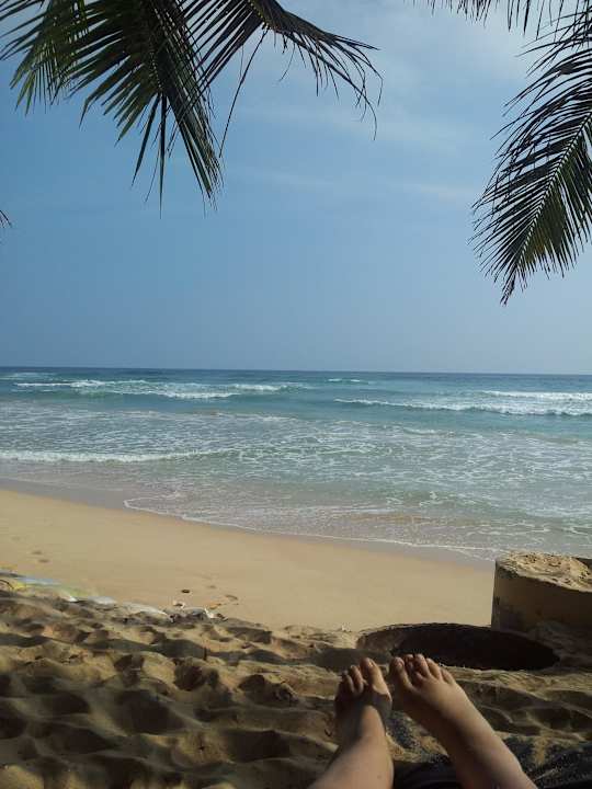 Strand Hotel Haus am Meer Wilde Ananas