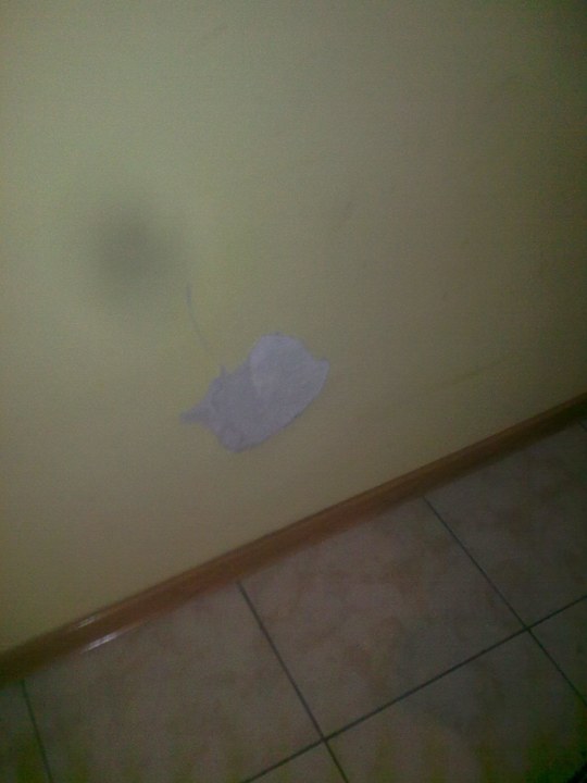 Jelonek domek lux Ośrodek Jelonek