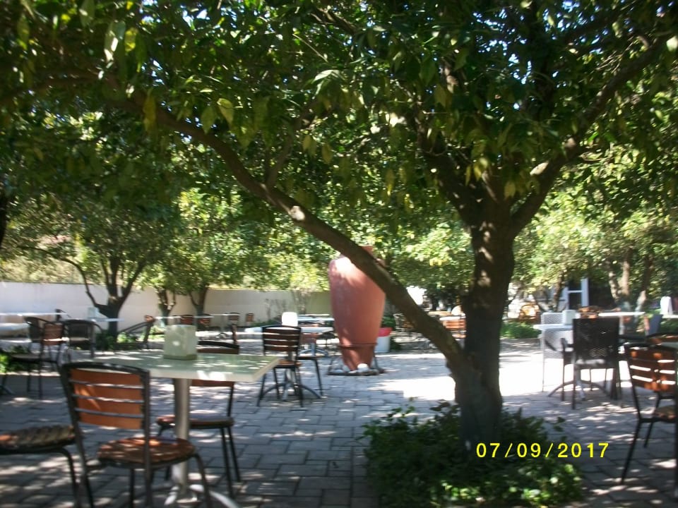 Gartenanlage NoxInn Club