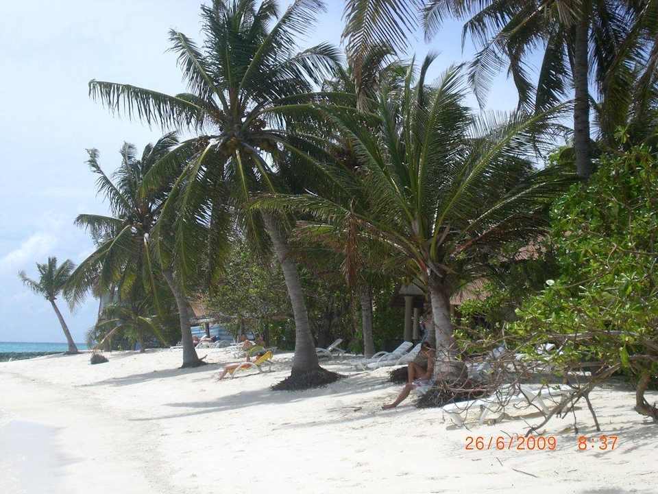 Sonne, Strand und Meer Summer Island Maldives