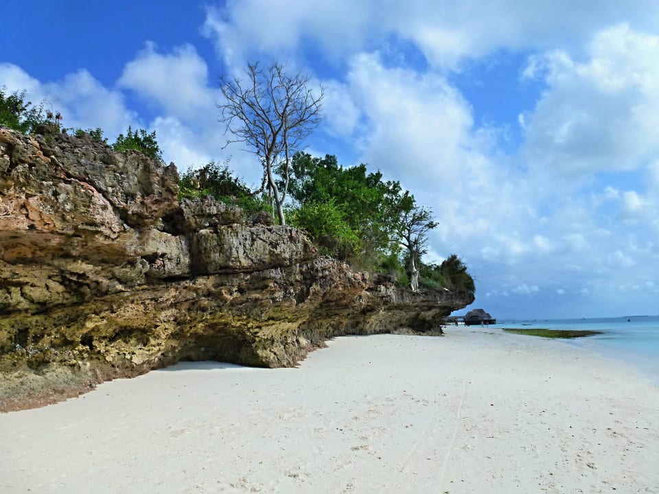 Sonstiges Motiv Hotel Riu Palace Zanzibar