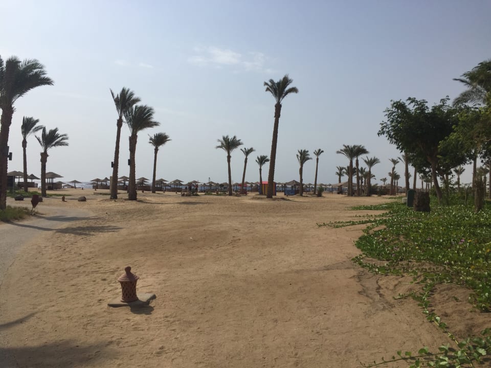 Strand Pickalbatros Sands Hotel - Port Ghalib
