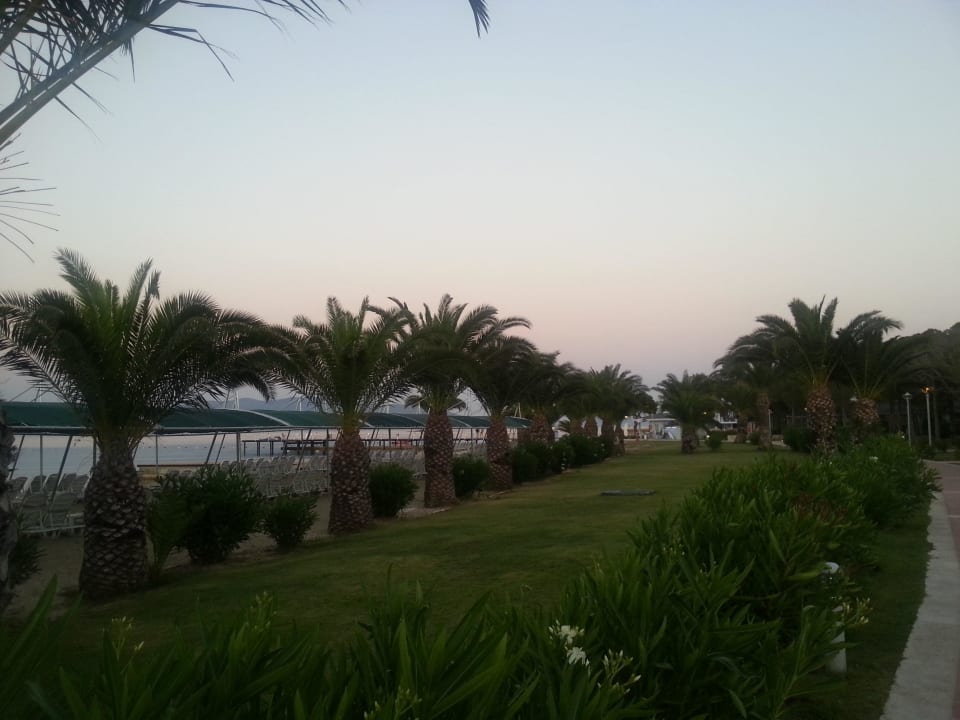 Ogód Venosa Beach Resort & Spa