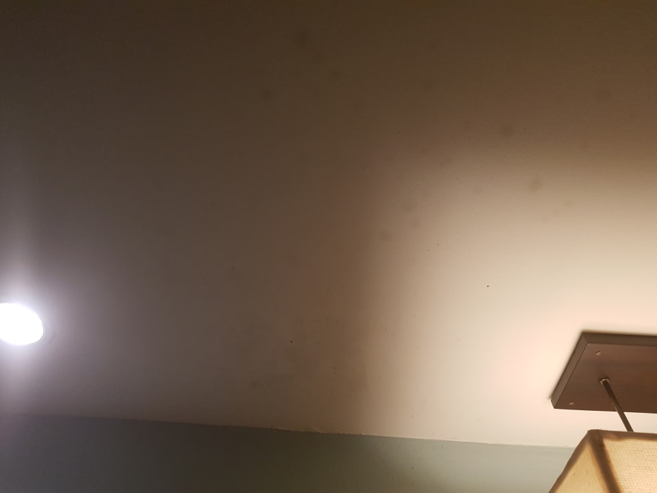 Zimmer The Green Park Resort