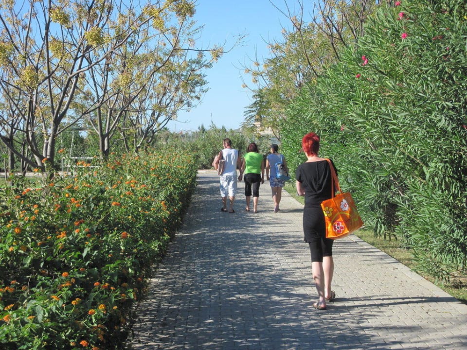 Strandweg Crystal Paraiso Aqua Collection