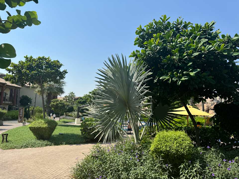 Gartenanlage Lapita - Dubai Parks & Resorts - Autograph Collection