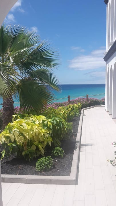 Traumblick von unserem Zimmer Royal Palm Resort & Spa - Adults only