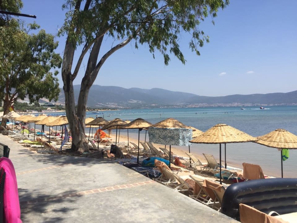 Strand Asteria Venus Didim