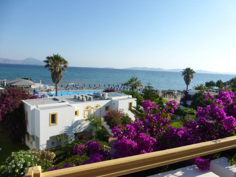 Blick über den Pool Mastichari Bay Hotel