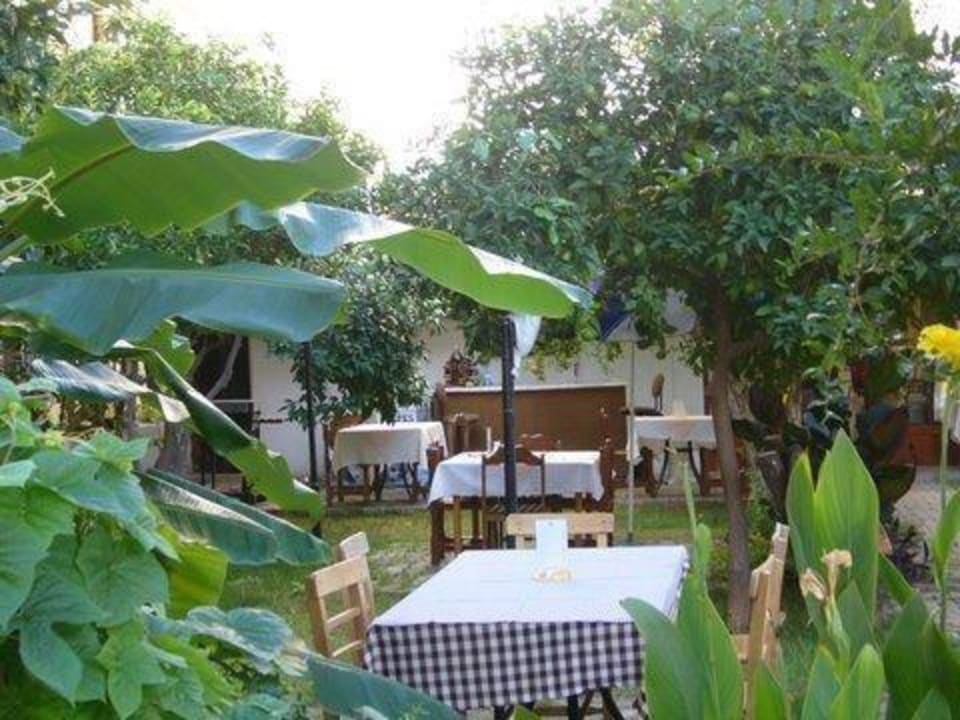 Bananen Bäume Yaka Hotel Hotel Yaka