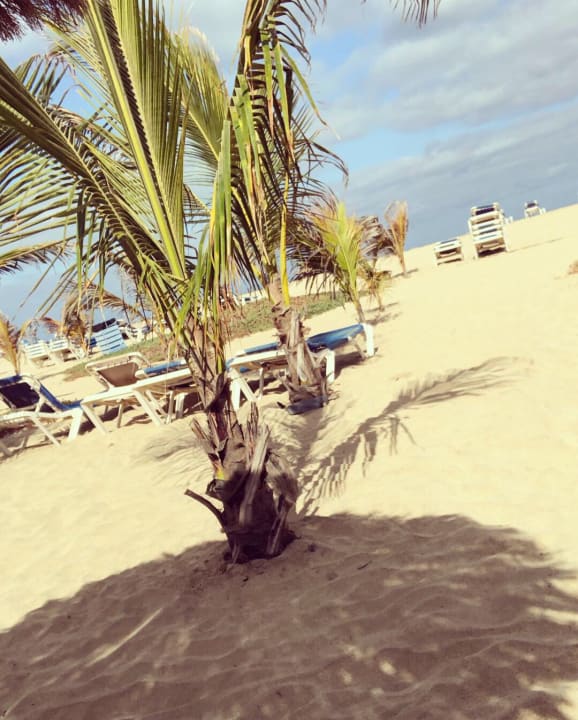 Strand Hotel Riu Cabo Verde